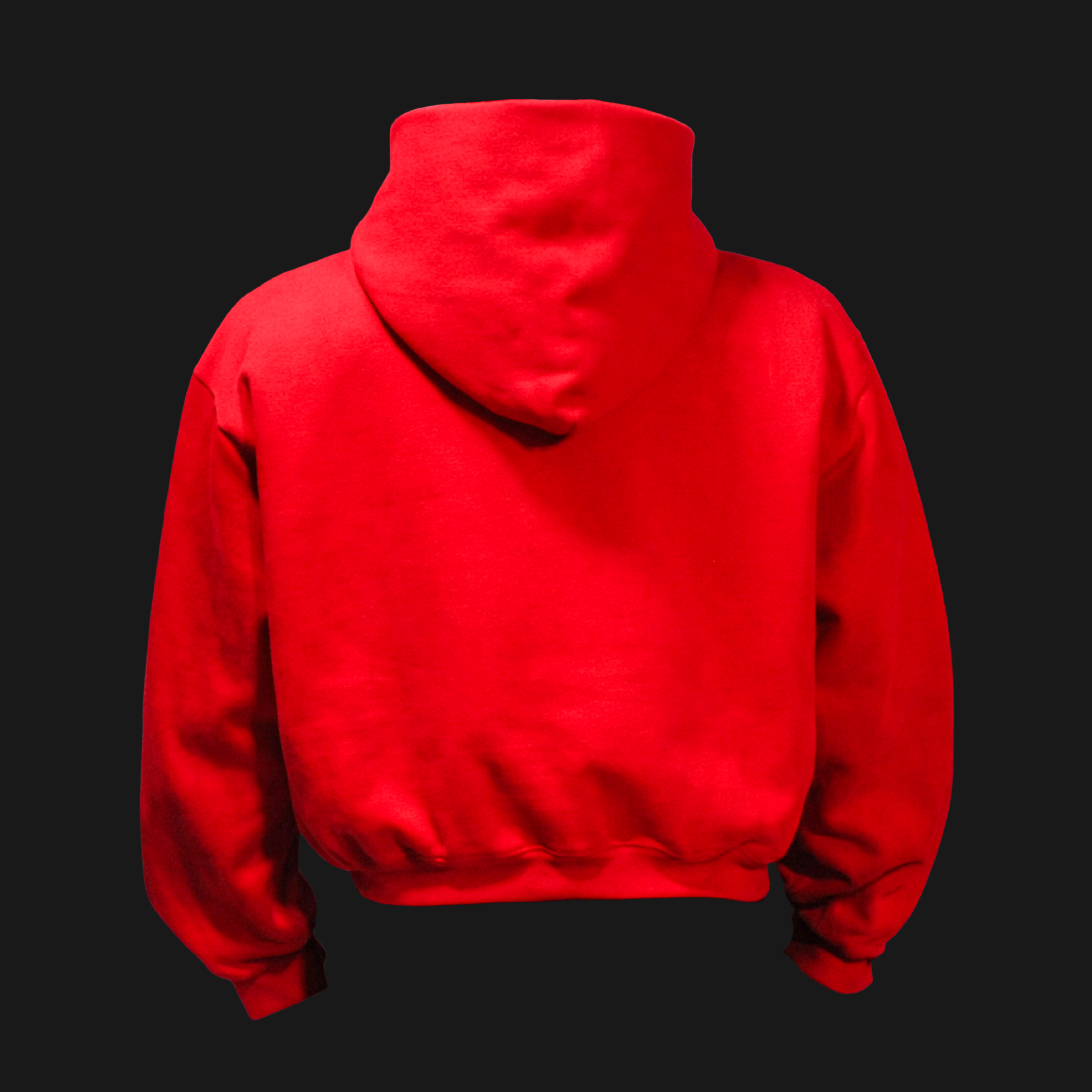 STRUCTURE-02 HOODIE / RED